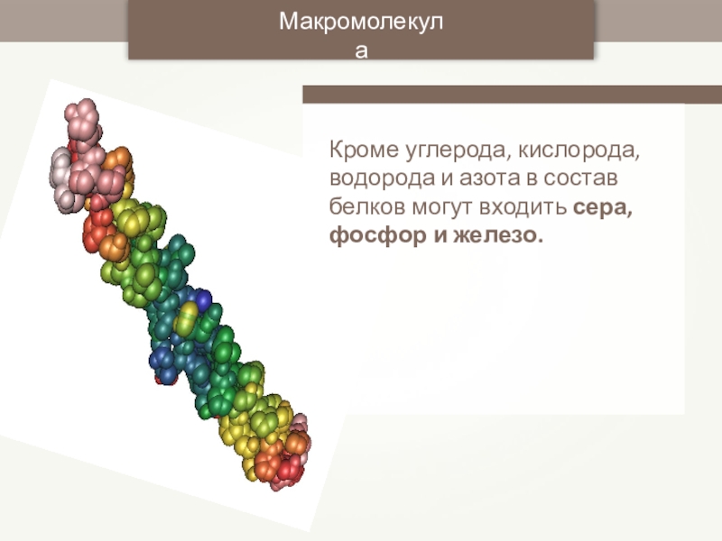 Сера углерод кислород. Сера входит в состав белков. Состоят из углерода, водорода, кислорода и азота. Углерод водород кислород и азот. Белки это углерод водород кислород.