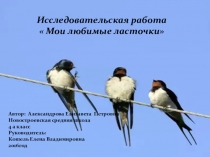 Презентация к проекту  Мои любимые ласточки