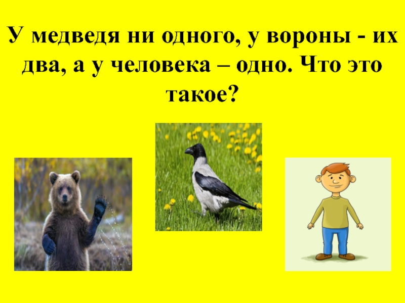 У медведя ни одного, у вороны - их два, а у человека – одно. Что это такое?