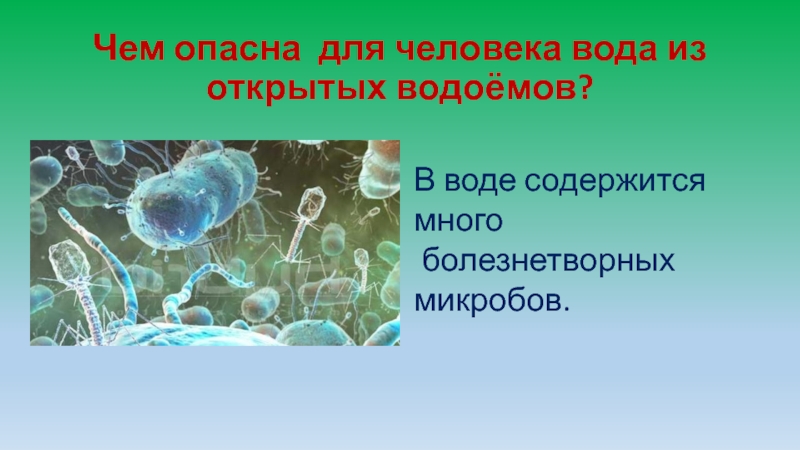 В природе встречаются простейшие. В воде содержится много микроорганизмов. Чем опасна вода для человека. Наличие простейших в воде у человека. Чем вода вредит человеку.