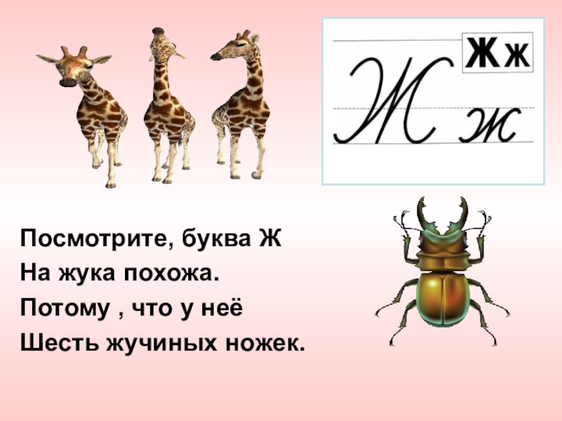 Увидеть букву. Ж похожа на жука. Буква похожая на жука. Буква ж Жук. На что похожа буква ж.