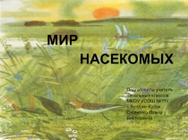 Презентация Мир насекомых 1 класс