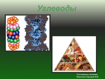 Презентация по биологии - химический состав клетки углеводы