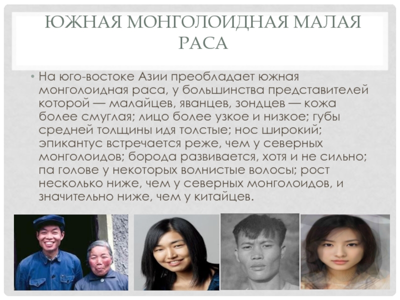 Представители монголоидной расы проживают в основном. Южная монголоидная малая раса. Представители монголоидной расы. Северная монголоидная малая раса. Монголоидная раса малые расы.