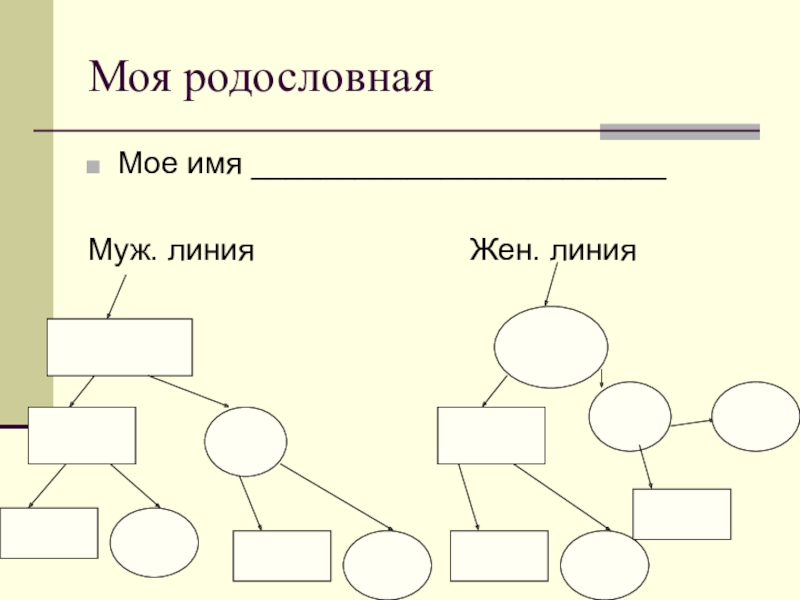 Моя родословная схема