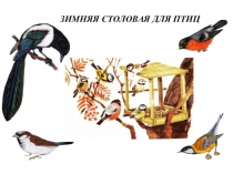 Презентация №3на темуГде зимуют птицы?
