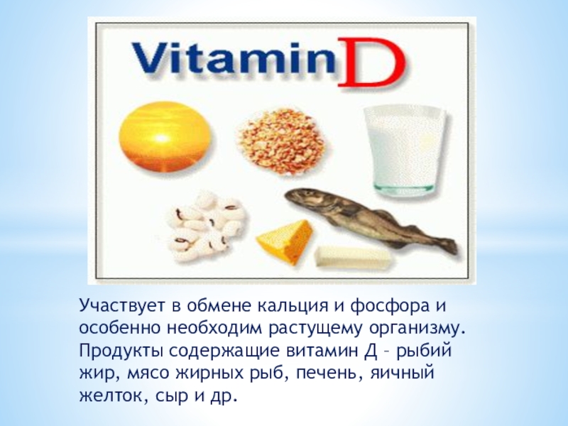 Продукты с содержанием витамина д