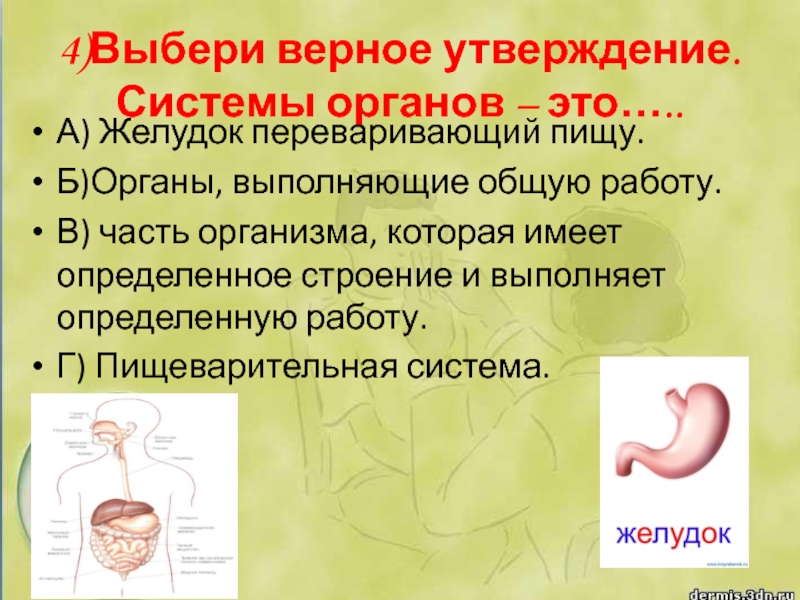 4)Выбери верное утверждение.  Системы органов – это….. А) Желудок переваривающий пищу.Б)Органы, выполняющие общую работу.В) часть организма,