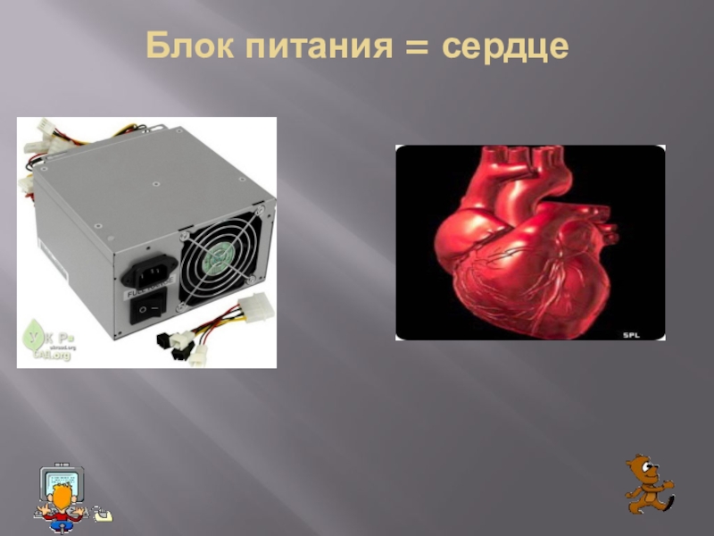 Доклад: Компьютер и сердце