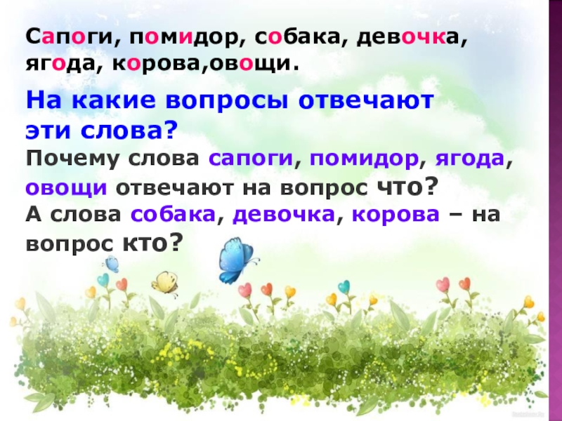 Какие слова отвечают на вопрос какой. Слова отвечающие на вопрос почему. Слова отвечающие на вопрос кто. Какие слова отвечают на вопрос почему.