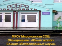 Презентация проекта по биологии Школьный дворик 6 класс