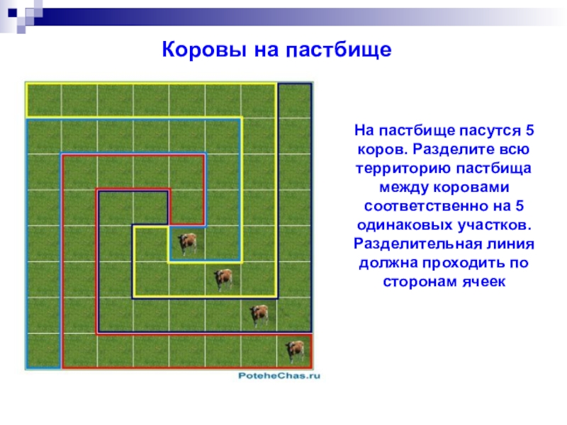 План по управлению пастбищами и их использованию