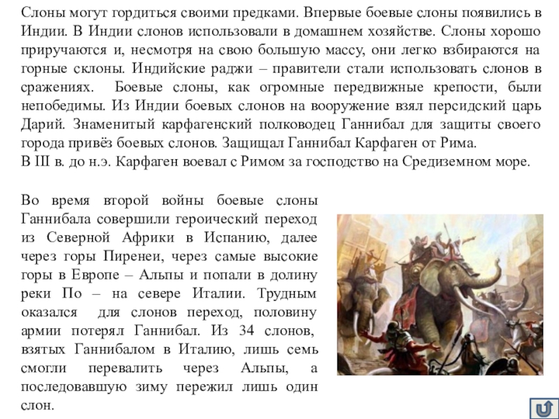 Чем могут гордиться жители вашей местности в плане охраны животного мира а чего стыдиться белгород