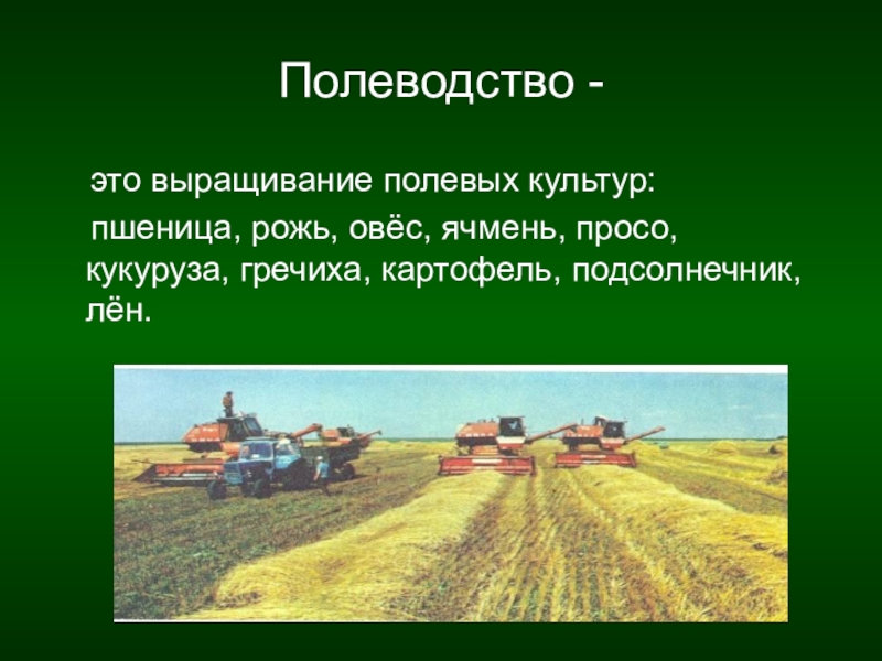 Растениеводство в нашем крае 4 класс презентация