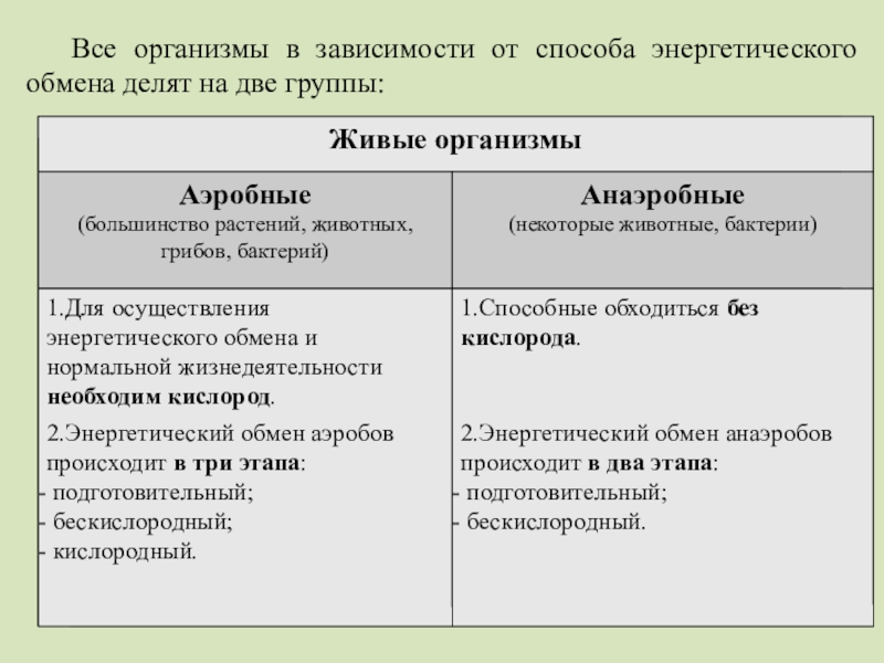 Энергетический обмен презентация 10 класс биология