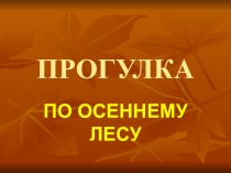 Презентация к уроку развития речи Прогулка по осеннему лесу