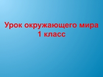 Презентация к уроку Окружающего мира Зима - покой природы , 1 класс