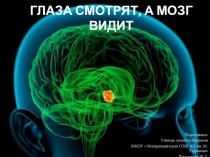 Презентация к уроку анализаторы 8 кл
