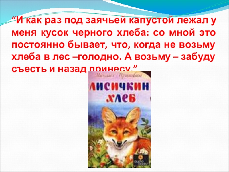 “И как раз под заячьей капустой лежал у меня кусок черного хлеба: со мной это постоянно бывает,