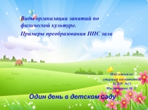 Виды организации занятий по физической культуре. Примеры преобразования ППС зала