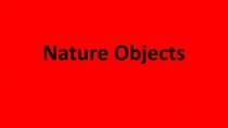 Презентация по английскому языку по теме Nature Objects 6 класс.