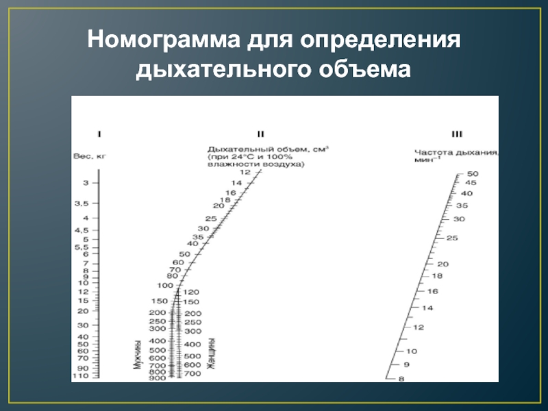 Схема функционального деления общей емкости легких среднестатистического взрослого человека