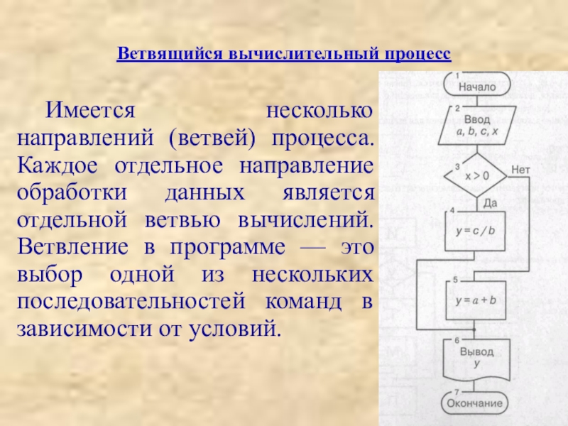 Описания вычислительных процессов. Ветвящийся процесс. Циклический вычислительный процесс. Виды вычислительных процессов. Вычислительны еароцессы.