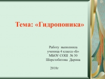 Презентация к проекту исследовательской работы  Гидропоника