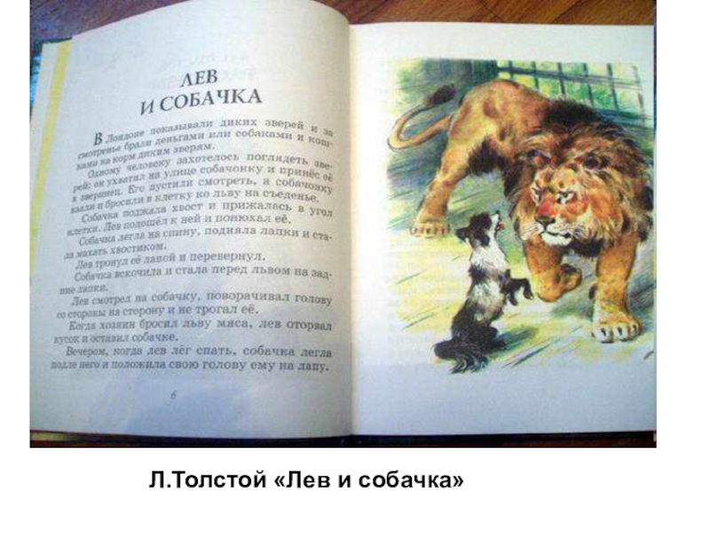 Лев и собачка читать. Произведение Льва Николаевича Толстого Лев и собачка. Л.Н.толстой Лев и собачка текст. Рассказ Льва Николаевича Толстого Лев и собака. Л Н толстой рассказы для детей Лев и собачка.