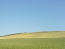 Тема природы в творчестве хакасских писателей