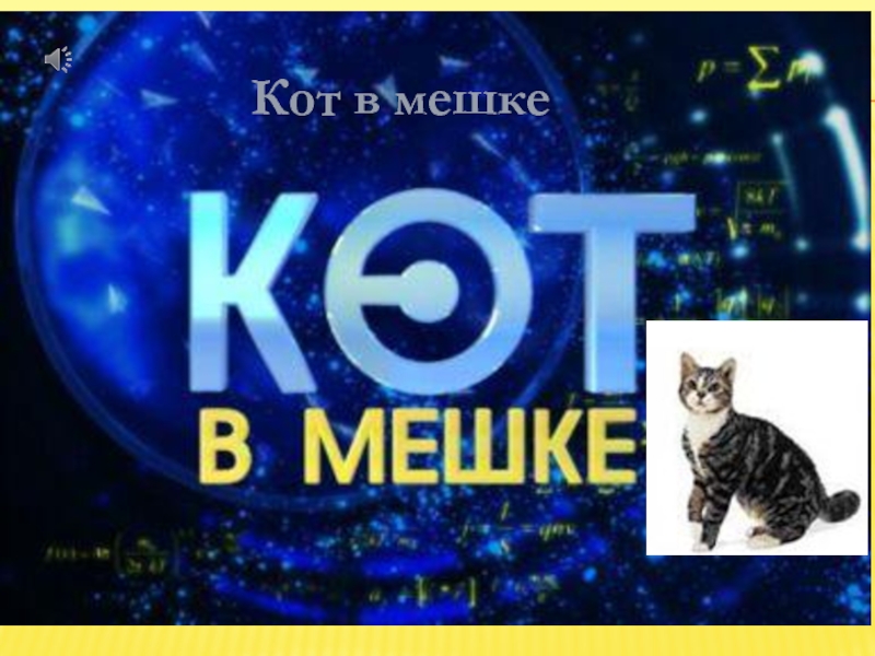 Картинка кот в мешке своя игра