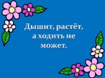 Презентация по окружающему миру на темурастения