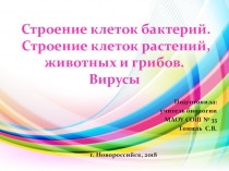 Презентация по биологии на тему Строение клеток бактерий, растений, животных и грибов. Вирусы (5 класс)