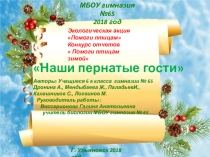 Отчет по зимующим птицам