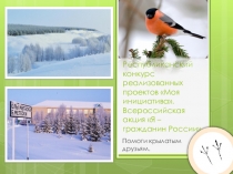 Социальный проект Помоги крылатым друзьям