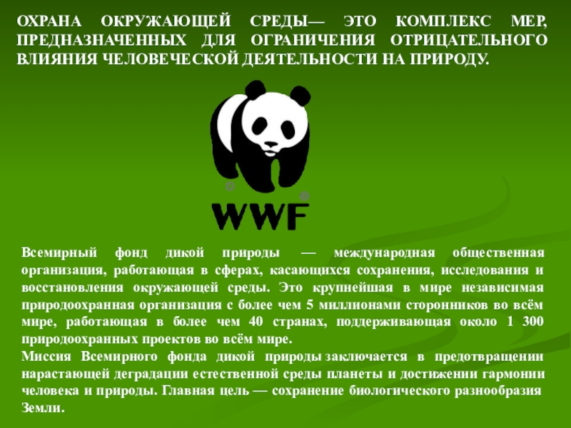 Wwf презентация на английском