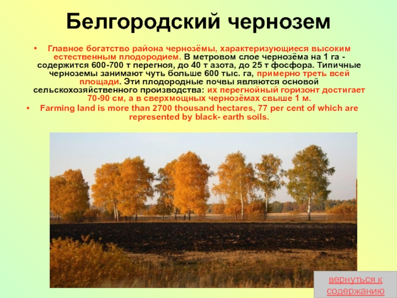 Почвы нашего края. Чернозем Белгородская область. Почвы Белгородской области. Почва Белгородской области 4 класс. Основные сведения о черноземе.