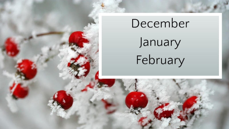 DecemberJanuaryFebruary