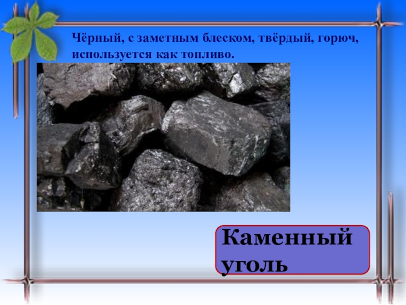 Торф и уголь. Торф и каменный уголь. Горные породы Хабаровского края. Горные породы Хабаровского края география 5 класс. Сведения о горных породах Хабаровского края.