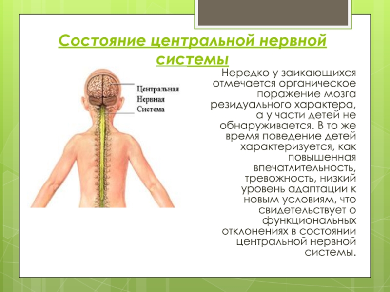 Центральная нервная система новорожденного. Состояние центральной нервной системы. Нервная система ребенка. Центральная нервная система ребенка. Поражение центральной нервной системы у ребенка.