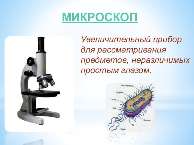 Презентация по физике микроскоп