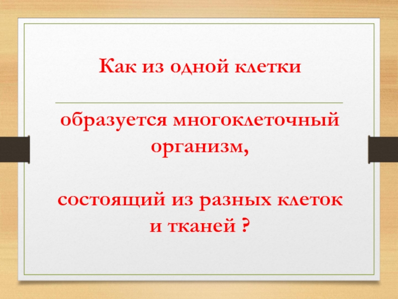 Рост и развитие животных 6 класс презентация