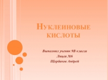 Презентация по биологии на тему Нуклеиновые кислоты