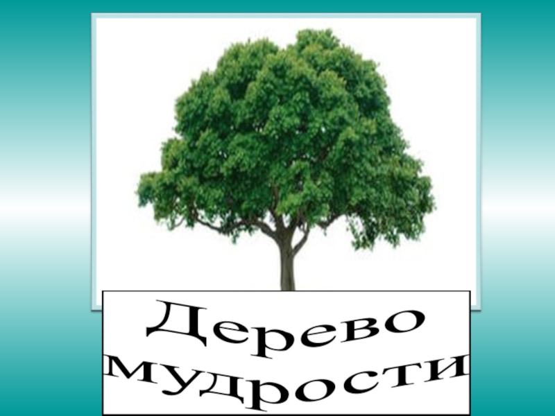 Нарисуй свое дерево мудрости и плоды нравственных достижений