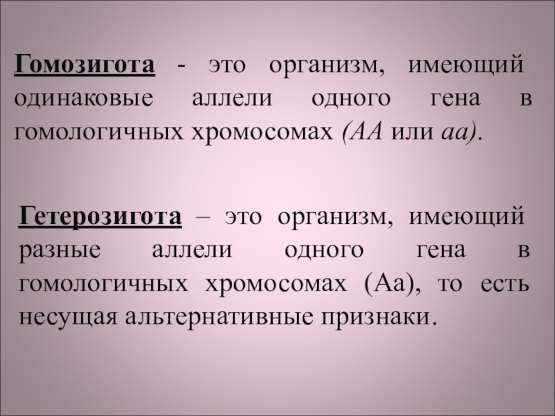 Гетерозиготный признак. Гомозигота. Гомозиготные и гетерозиготные организмы это. Дигомозигота и гетерозигота это. Гомозиготный организм это в биологии.