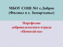 Презентация Портфолио добровольческого отряда
