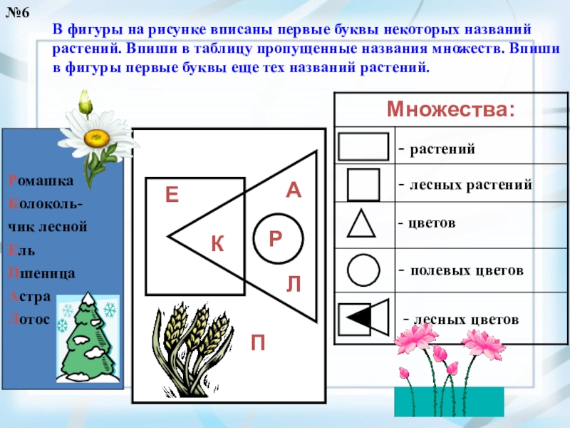 Вписать пропущенное названия. Впиши пропущенные названия множеств. Впиши в фигуры названия растений из списка. Впиши названия растений в фигуры. Впиши в таблицу названия растений.