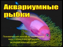 Презентация по развитию речи тема: Аквариумные рыбки