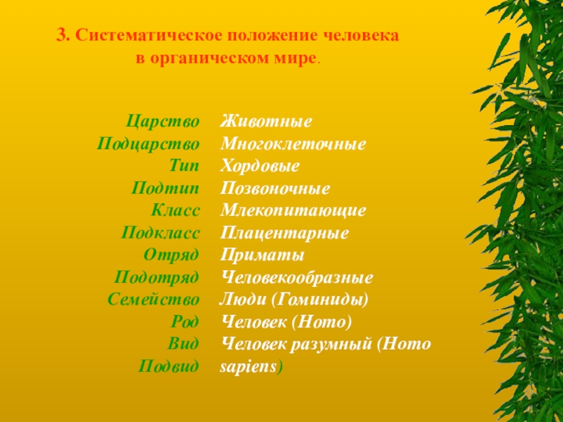 Царство род отряд. Систематическое положение человека в органическом мире. Положение человека в органическом мире царство. Человек вид подвид класс. Человек царство Подцарство.