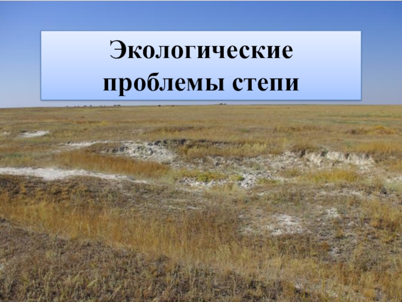 Охрана природы степей. Экологические проблемы степи. Логические проблемы степи. Экологические проблемы Степной зоны. Проблемы степей.